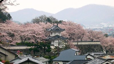 🏯 다쓰노 성(다쓰노조) 이미지 2